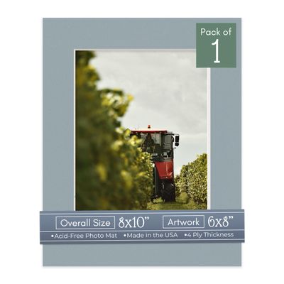 CountryArtHouse Metallic Silver Acid Free 8x10 Picture Frame Mats with White Core Bevel Cut for 6x8 Pictures - Fits 8x10 Frame - One Mat