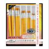Brushes Paint Gold TAKLON Flat CLASSROM Value Set of 30 view 1