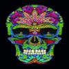 Crystal Art Diamond Painting Notebook - Skull Notebook Kit - Create a Sparkling Notebook Cover using Crystals - For ages 8 and up view 1