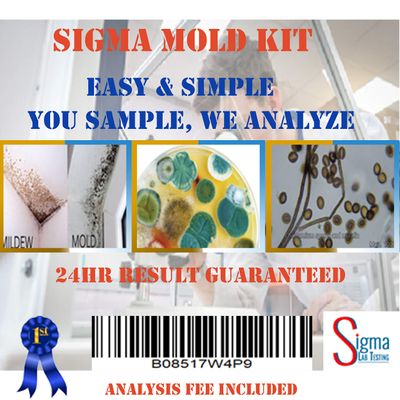 Sigma Mold Testing