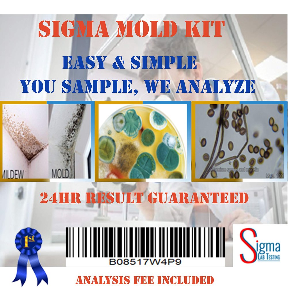 Sigma Mold Testing