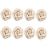 Fodattm 8PCS Faux Leather Rose Flower Wedding Sandals Shoes Decoration Charms DIY Crafts Findings Accessories Scarf Winter Boots Shoes Bag Package Accessories Material Eternal Flower (Beige) view 1