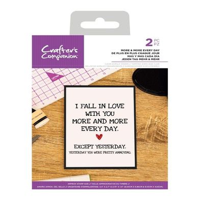 Crafter's Companion Clear Acrylic Quirky Stamp-More & More Every Day