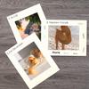Golden State Art, Pack of 10, 11x14 for 8x10 Picture Photo Mat -White-core, Acid-Free - Great for Frames, Artwork, Prints, Pictures, Ivory Turret view 4