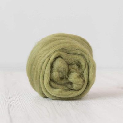 Wool Roving - Extra Fine Merino - Wet Nuno Needle Felting - Spinning - Knitting - Weaving - Carding - Green Palette - 100g/3.5oz - Classic Collection DHG (Asparagus)
