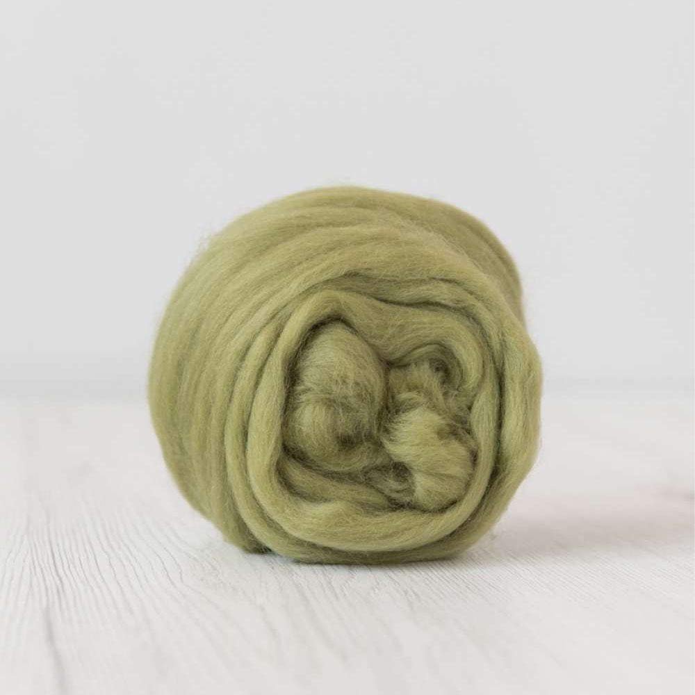 Wool Roving - Extra Fine Merino - Wet Nuno Needle Felting - Spinning - Knitting - Weaving - Carding - Green Palette - 100g/3.5oz - Classic Collection DHG (Asparagus)