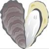 50 PCs Cute Gray Oyster Heart Icon 1" Stickers Decals Laptop Notebook Phone Waterproof Vinyl Trendy view 2
