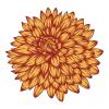 50 PCs Pretty Orange Peony Chrysanthemum Flower 1" Stickers Decals Laptop Notebook Phone Waterproof Vinyl Trendy view 2