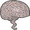 50 PCs Creepy Gray Brown Anatomical Brain 1" Stickers Decals Laptop Notebook Phone Waterproof Vinyl Trendy view 2