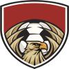 50 PCs Cool Simple Eagle Sport Shield Icon - Soccer Ball 1" Stickers Decals Laptop Notebook Phone Waterproof Vinyl Trendy view 2