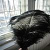 Xucus Black Ostrich Feather Plumes 20-22inch(50-55cm) Wedding Centerpiece Decor Feather Costumes view 2