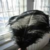 Xucus Black Ostrich Feather Plumes 20-22inch(50-55cm) Wedding Centerpiece Decor Feather Costumes view 3