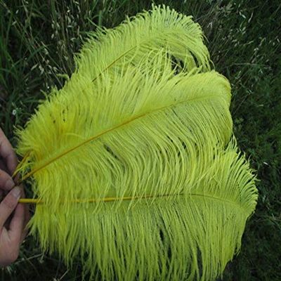 Xucus Wholesale Beautiful Yellow Ostrich Feathers 100pcs 20-22 inches / 50-55 cm Weddings & Celebrations Feathers
