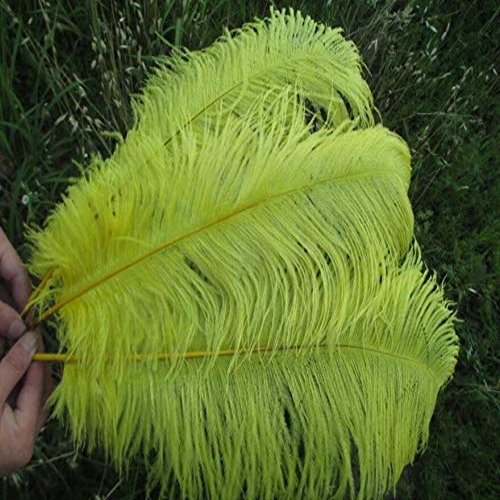 Xucus Wholesale Beautiful Yellow Ostrich Feathers 100pcs 20-22 inches / 50-55 cm Weddings & Celebrations Feathers
