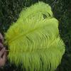 Xucus Wholesale Beautiful Yellow Ostrich Feathers 100pcs 20-22 inches / 50-55 cm Weddings & Celebrations Feathers view 1