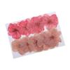 freneci 10x Pressed Dried Flowers, Natural Dried Sakura Flowers for Nail Art Supplies, Craft, Scarpbooking, Card, Jewelry Making, Phone Case view 1
