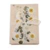 freneci 10x Pressed Dried Flowers, Natural Dried Sakura Flowers for Nail Art Supplies, Craft, Scarpbooking, Card, Jewelry Making, Phone Case view 4