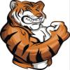 50 PCs Red Eyed Orange Stripped Tiger Mascot 1" Stickers Decals Laptop Notebook Phone Waterproof Vinyl Trendy view 2
