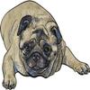 18 Pcs Cute Pudgy Chubby Pug Puppy Dog Pen Art Cartoon 2" Stickers Decals Laptop Notebook Phone Waterproof Vinyl Trendy view 2