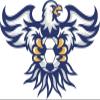18 Pcs Cool Simple Blue Eagle Mascot with Soccerball Cartoon 2" Stickers Decals Laptop Notebook Phone Waterproof Vinyl Trendy view 2