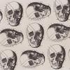 Rossi Limited Edition Letterpress Paper- Skulls 20x28" Sheet view 2