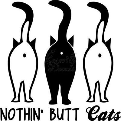 Roseville Decals Funny Nothing But Cats Butthole Vinyl Decal Sticker for Home Office Decor Vehicle Window Sign Size- [12 inch] / [30 cm] Wide Color- Matte White
