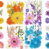 100Pcs Dried Pressed Flowers for Resin Molds- Beautiful Pressed Flowers Daisies for Resin Jewellery, Pressed Flowers Nail Pendant Crafts Making Craft DIY Accessories with 1pcs Tweezers view 1