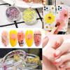 100Pcs Dried Pressed Flowers for Resin Molds- Beautiful Pressed Flowers Daisies for Resin Jewellery, Pressed Flowers Nail Pendant Crafts Making Craft DIY Accessories with 1pcs Tweezers view 3