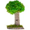 Real Plants Without Watering, Preserved Moss Art Design & Decor - Indoor Home & Office Natural Green Plants Arrangement view 1