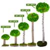 Real Plants Without Watering, Preserved Moss Art Design & Decor - Indoor Home & Office Natural Green Plants Arrangement view 4