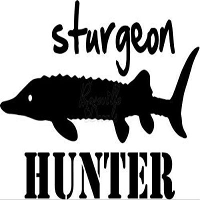 Roseville Decals Sturgeon Hunter Fish Fishing Vinyl Decal Sticker for Home Office Decor Vehicle Window Sign Size- [6 inch] / [15 cm] Wide Color- Gloss Black