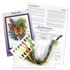 Butterfly view 3