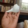 Dakshinavarti Shankh 3" inch | Natural Right-Hand Valampuri Sangu Rare White Conch Shell for Puja, Lakshmi Pooja, Diwali, Home Decor & Gift Non-Blowable Sacred Jal Shankh view 2