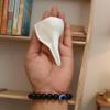 Dakshinavarti Shankh 3" inch | Natural Right-Hand Valampuri Sangu Rare White Conch Shell for Puja, Lakshmi Pooja, Diwali, Home Decor & Gift Non-Blowable Sacred Jal Shankh view 4