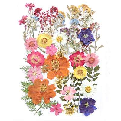 8 Types 46pcs Real Dried Pressed Flowers Leaf Plant Herbarium for DIY Resin Jewelry Making Floral Decors (Blue)