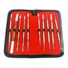 AAProTools 10 PCS Dental Wax Carvers with Case, Stainless Steel Carver Instruments - Metal Clay Pottery Sculpture Tools Set - Restorative Double Ended Waxing Modelling Kits view 1