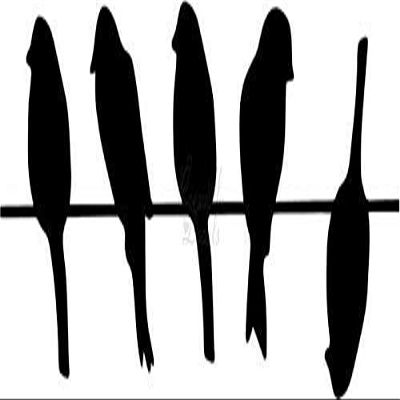 Roseville Decals Birds On Wire Vinyl Decal Sticker for Home Office Decor Vehicle Window Sign Size- [6 inch] / [15 cm] Wide Color- Gloss Black