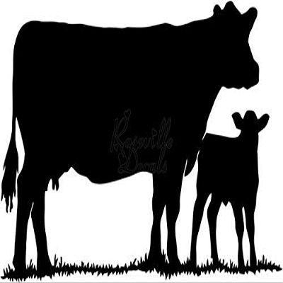 Cow Calf Mom Baby Milk Farm Vinyl Decal Sticker for Home Office Decor Vehicle Window Sign Size- [20 inch] / [50 cm] Wide Color- Matte Black