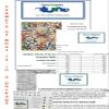 Orenco Originals Jesus Christ Walking Water Russian Von KleverCounted Cross Stitch Pattern view 4