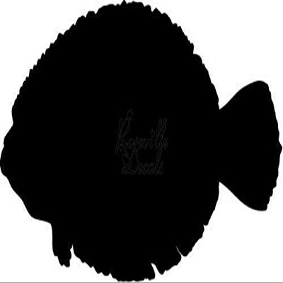 Roseville Decals Flounder Fish Fishing Vinyl Decal Sticker for Home Office Decor Vehicle Window Sign Size- [6 inch] / [15 cm] Wide Color- Gloss White