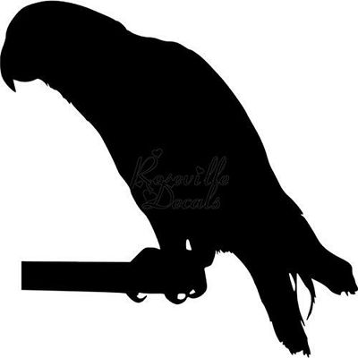Roseville Decals Parrot Bird Pet Animal Vinyl Decal Sticker for Home Office Decor Vehicle Window Sign Size- [6 inch] / [15 cm] Wide Color- Gloss White