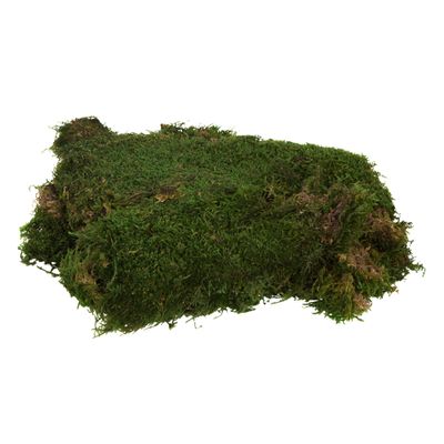 Vickerman Green Sheet Moss Bag, Accent Any Arrangement with The Rich Color and Texture of Preserved Real Moss, 8 oz Per Bag