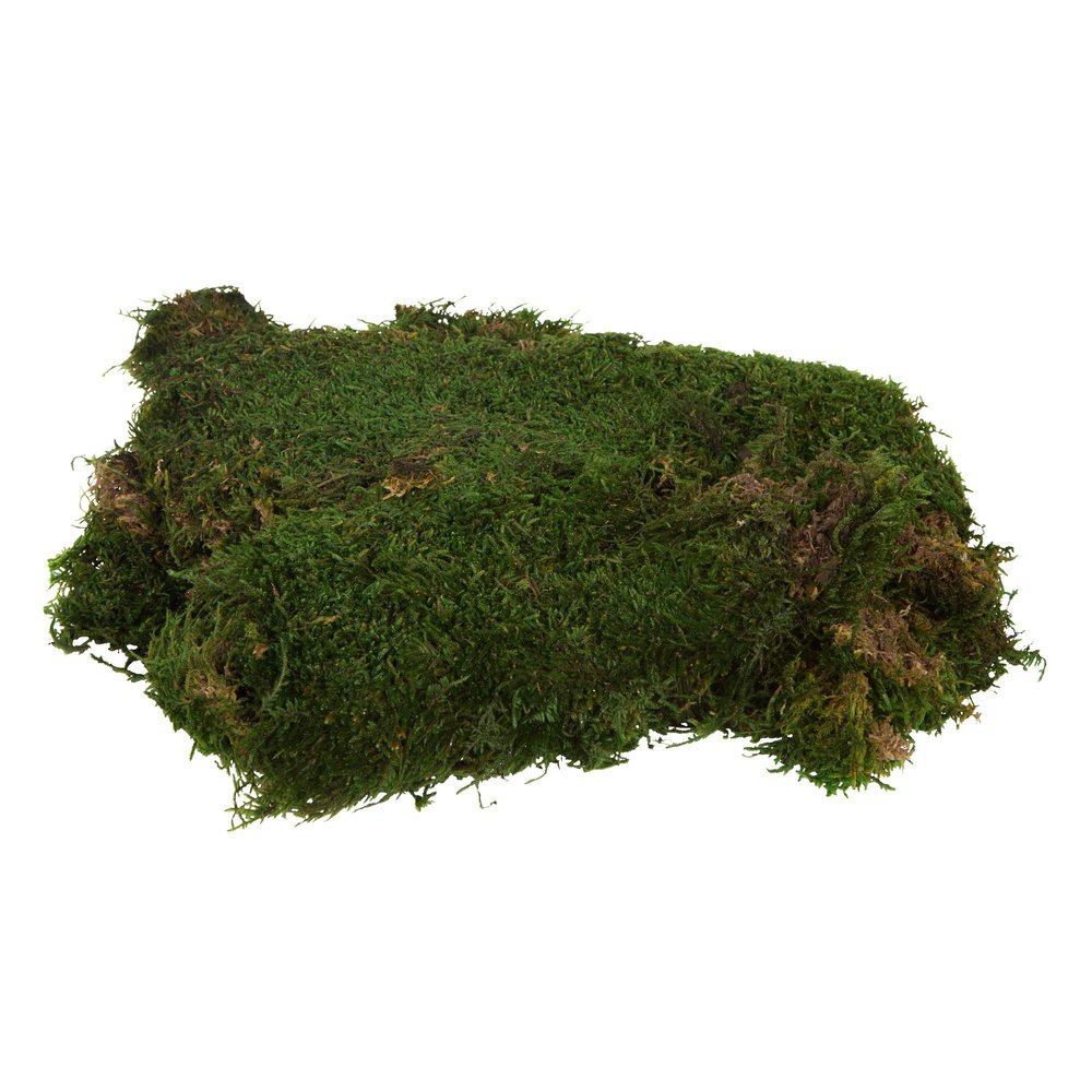 Vickerman Green Sheet Moss Bag, Accent Any Arrangement with The Rich Color and Texture of Preserved Real Moss, 8 oz Per Bag