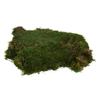 Vickerman Green Sheet Moss Bag, Accent Any Arrangement with The Rich Color and Texture of Preserved Real Moss, 8 oz Per Bag view 1