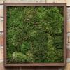 Vickerman Green Sheet Moss Bag, Accent Any Arrangement with The Rich Color and Texture of Preserved Real Moss, 8 oz Per Bag view 4