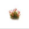 Woodland Scenics Red Flowering Tufts WOOFS773 view 2