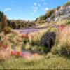 Woodland Scenics Red Flowering Tufts WOOFS773 view 3