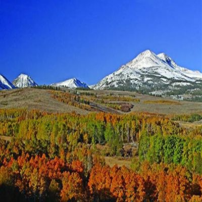 Hogan Mountain XII Wall Decal