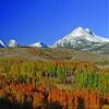 Hogan Mountain XII Wall Decal view 1