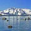 Hogan Mountain VI Wall Decal view 1